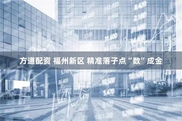 方道配资 福州新区 精准落子点“数”成金
