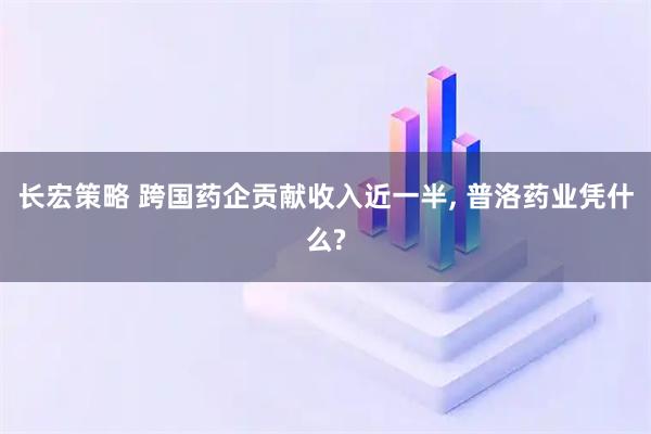 长宏策略 跨国药企贡献收入近一半, 普洛药业凭什么?